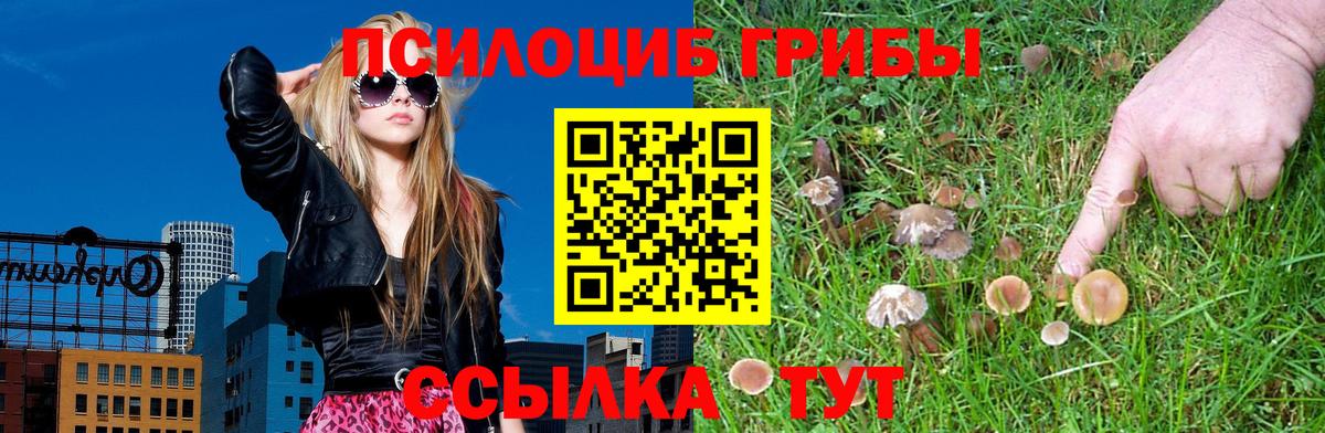 Магнитогорск  Псилоцибиновые грибы MAGIC MUSHROOMS  Вход с VPN 