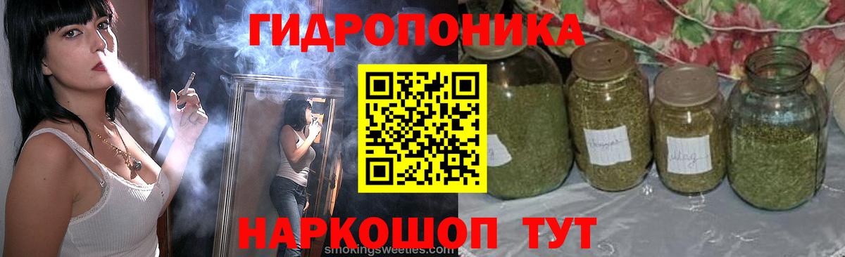 Каннабис сатива Магнитогорск